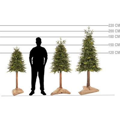 Springos CT0200 PRÍRODNÝ SMREK NA KMEŇOVI 220 CM