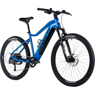 Leader Fox Arimo 2 2024