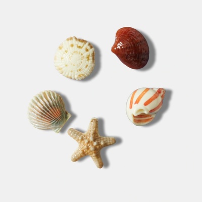 Odznáček Jibbitz – She Sells Seashells 5 ks – Hledejceny.cz