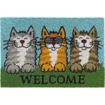  ИЗТРИВАЛКА КОКОС РУКО 40x60 Welcome КОТКИ (201147-040х060-749)