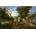 D-Toys - Puzzle Brueghel: The Entry of the Animals Into Noah's Ark - 1 000 piese