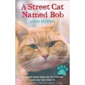 Street Cat Named Bob | James Bowen (2012)