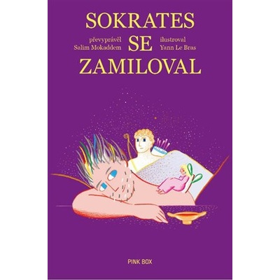 Sokrates se zamiloval