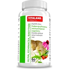 Vitaland Hlíva+Echinacea+Rakytník60 tablet