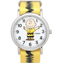 Timex TW2R41100