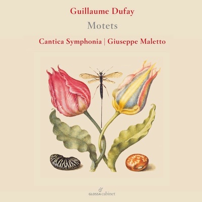 Guillaume Dufay : Motets (Giuseppe Maletto) CD