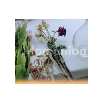 Nylon Union