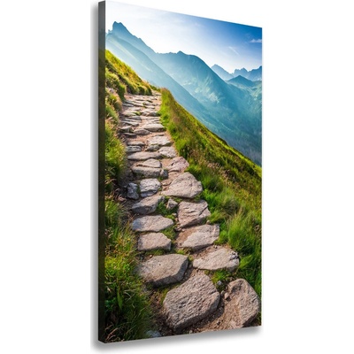 Vertikálny foto obraz canvas Horský chodník 50x100 cm