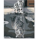 Zuty Maľovanie podľa čísel MAČIČKA ALEBO TIGER