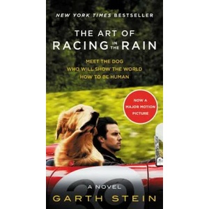 The Art of Racing in the Rain | Garth Stein (2017)