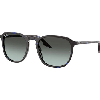 Ray-Ban RB2203 1430GK (RB2203 1430GK)