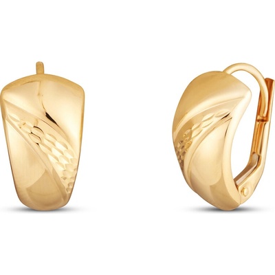 JVD Dámské zlaté klasické náušnice na patent ryz. 585/1000 ZE1020XJ81-7100