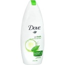 Sprchové gély Dove Go Fresh Fresh Touch vyživujúci sprchový gél 250 ml