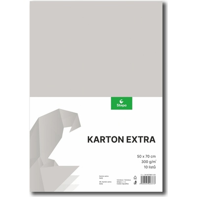 STEPA Barevný karton EXTRA 300g 50x70cm - šedý 10listů