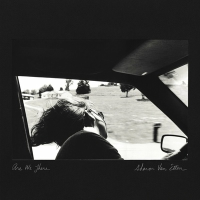 Sharon Van Etten - Are We There 10th Anniversary Limited Edition Black, Grey, Silver Tri-Color Split LP