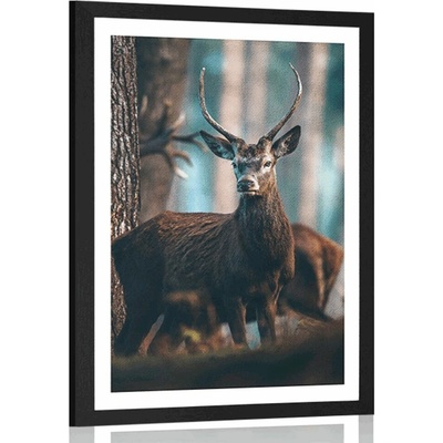 Plakát s paspartou jelen v lese - 60x90 black