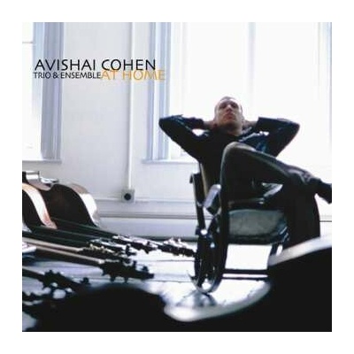 Cohen,avishai Guiliana,mark Tzur,tomer: At Home 2 LP