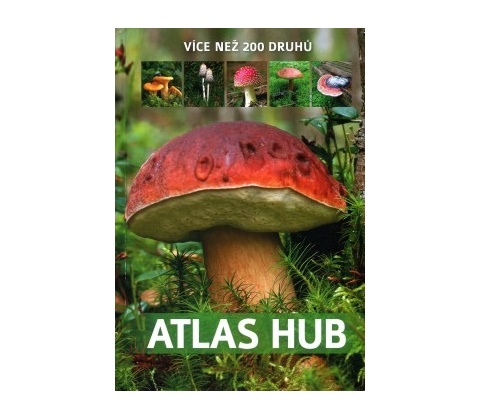 Atlas hub