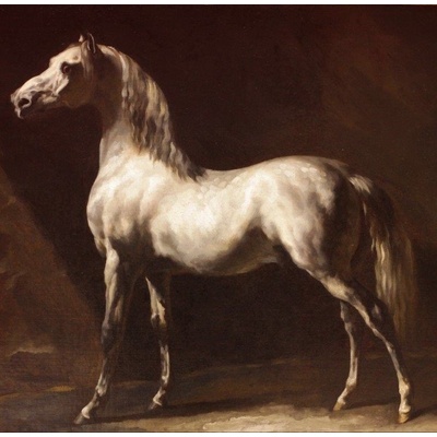 GRAFIKA Čtvercové Cheval Arabe Gris-Blanc 1000 dílků