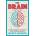 Brain: A User's Manual | Marco Magrini