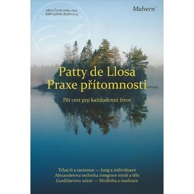 Praxe přítomnosti - Patty de Llosa