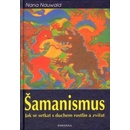 Šamanismus