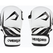 Overlord Sparring MMA