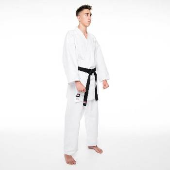 Fujimae Basic