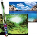 Aqua Nova pozadie L rastliny / oceán 100 x 50 cm