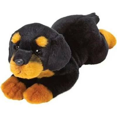 pes rottweiler