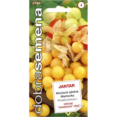 Maják Dobrá semena Mochyně ojíněná Jantar ananasová 0,2 g