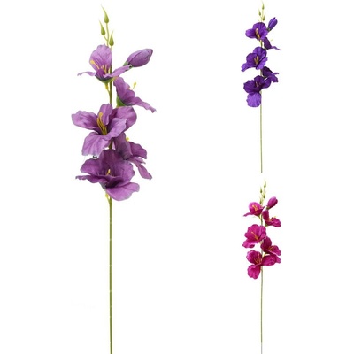 KS GLADIOLA FIALOVÝ MIX/3 55CM