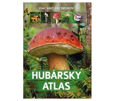 Atlas húb