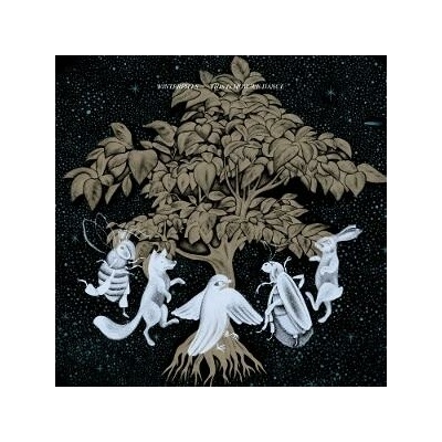 Winterpills - THIS IS HOW WE DANCE CD