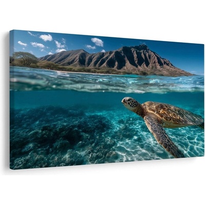 Obraz mořská želva v oceánu - 60x40