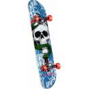 Powell Peralta Skull and Snake One Off