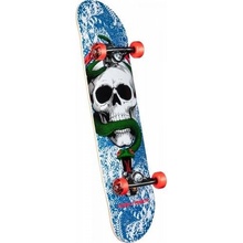 Powell Peralta Skull and Snake One Off