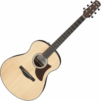 Ibanez AAM50