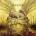 Pinback - Autumn of the Seraphs (LP) (36172100019)