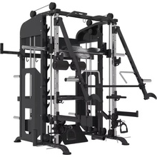 IRONLIFE Smith Machine Jammer Arm System