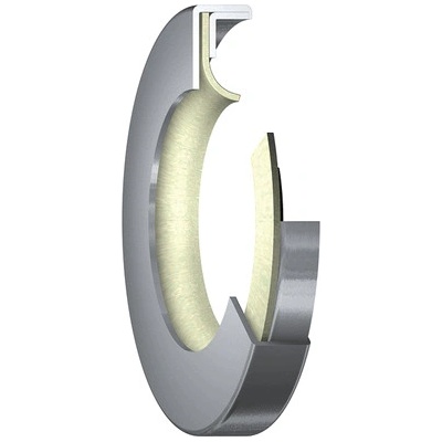 36-62-8 B2 PTN IBL PTFE gufero
