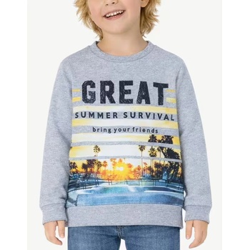 Chicco Boys Sweatshirt Light Grey