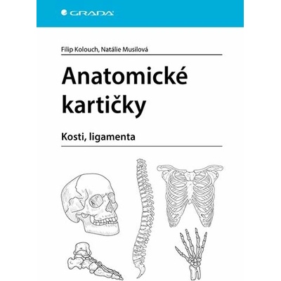 Anatomické kartičky - Filip Kolouch, Natálie Musilová