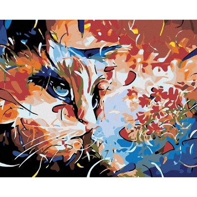 zuty Malování podle čísel Kočičí abstrakce 50 x 40 cm vypnuté plátno na rám 8596530011415