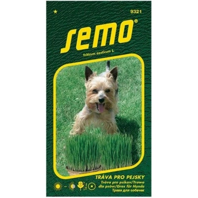 Semená - Tráva pre mačky 10g