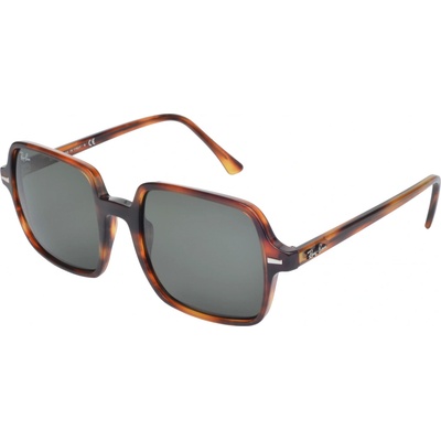 Ray-Ban RB1973 954 31