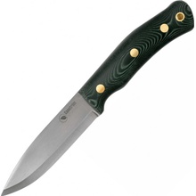 CASSTROM No.10 SFK Mica/CS/FS CASS-13123