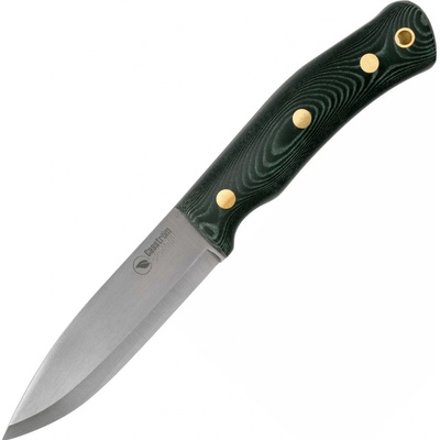 CASSTROM No.10 SFK Mica/CS/FS CASS-13123