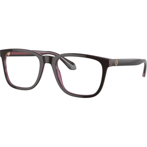 Giorgio Armani AR7255 6088