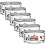 Royal Canin Veterinary Diet Recovery Feline/Canine Консерва 6 x 195 г